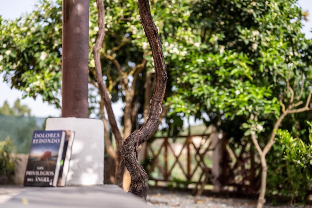 Casa Rural Bejeque テロル エクステリア 写真